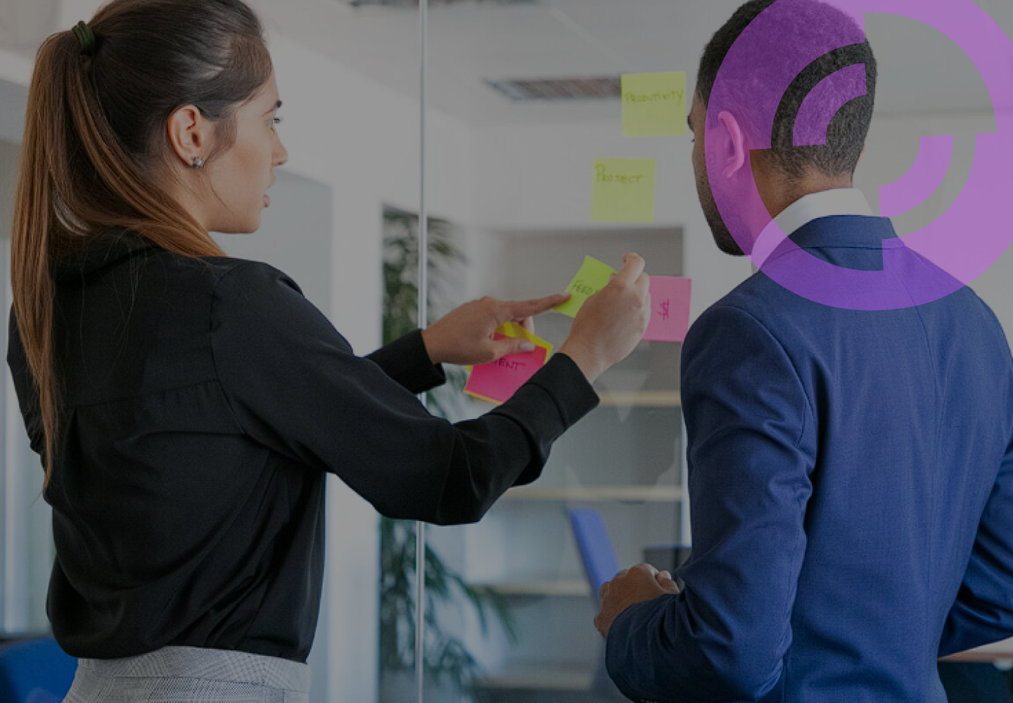 Comportamento Organizacional